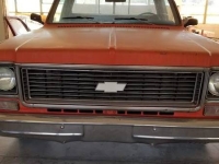 1977 Chevrolet C10 for sale in Cadillac, Michigan (ID-48841)