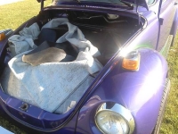 1977 Volkswagen Super Beetle for sale in Cadillac, Michigan (ID-1785)