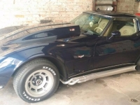 1978 Chevrolet Corvette for sale in Cadillac, Michigan (ID-48115)