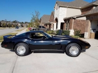 1978 Chevrolet Corvette for sale in Cadillac, Michigan (ID-48159)