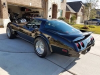 1978 Chevrolet Corvette for sale in Cadillac, Michigan (ID-48159)