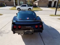 1978 Chevrolet Corvette for sale in Cadillac, Michigan (ID-48159)