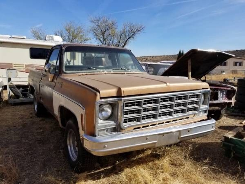 1978 Chevrolet Pickup for sale in Cadillac, Michigan (ID-48283)