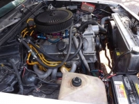 1978 Chevrolet El Camino for sale in Cadillac, Michigan (ID-48695)