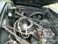 1978 Jaguar XJS for sale in Cadillac, Michigan (ID-1665)