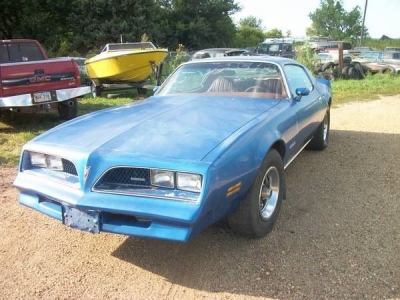Muscle Cars - 1978 Pontiac Firebird for sale in Cadillac, Michigan at $9,995
