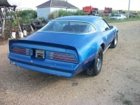 1978 Pontiac Firebird for sale in Cadillac, Michigan (ID-1760)