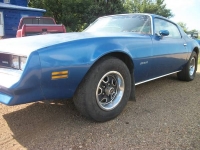 1978 Pontiac Firebird for sale in Cadillac, Michigan (ID-1760)