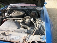 1978 Pontiac Firebird for sale in Cadillac, Michigan (ID-1760)