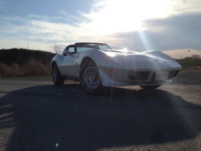 1979 Chevrolet Corvette for sale in Cadillac, Michigan at $12,995