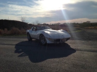 1979 Chevrolet Corvette for sale in Cadillac, Michigan (ID-1746)