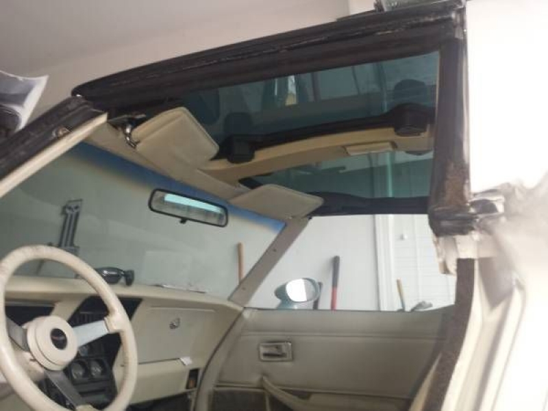 1979 Chevrolet Corvette for sale in Cadillac, Michigan (ID-1818)