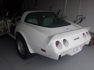 1979 Chevrolet Corvette for sale in Cadillac, Michigan (ID-1818)