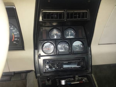 1979 Chevrolet Corvette for sale in Cadillac, Michigan (ID-1818)