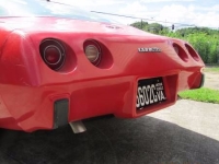 1979 Chevrolet Corvette for sale in Cadillac, Michigan (ID-48211)