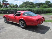 1979 Chevrolet Corvette for sale in Cadillac, Michigan (ID-48211)