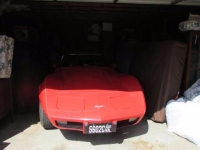1979 Chevrolet Corvette for sale in Cadillac, Michigan (ID-48211)
