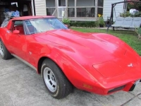 1979 Chevrolet Corvette for sale in Cadillac, Michigan (ID-48211)
