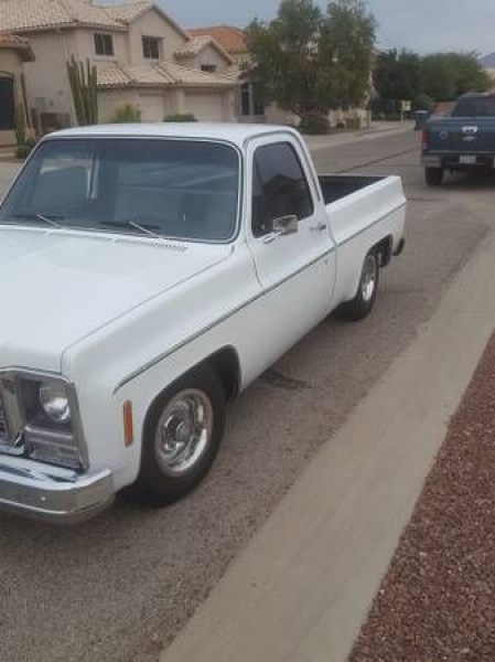 1979 Chevrolet SWB for sale in Cadillac, Michigan (ID-48291)
