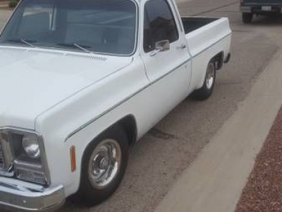 1979 Chevrolet SWB for sale in Cadillac, Michigan at $20,495