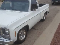 1979 Chevrolet SWB for sale in Cadillac, Michigan (ID-48291)