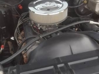 1979 Chevrolet SWB for sale in Cadillac, Michigan (ID-48291)