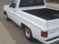 1979 Chevrolet SWB for sale in Cadillac, Michigan (ID-48291)