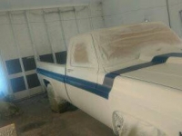 1979 Chevrolet C10 for sale in Cadillac, Michigan (ID-48389)