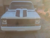 1979 Chevrolet C10 for sale in Cadillac, Michigan (ID-48389)