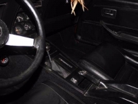 1979 Chevrolet Corvette for sale in Cadillac, Michigan (ID-48474)