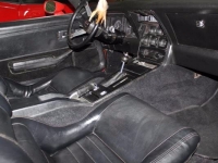 1979 Chevrolet Corvette for sale in Cadillac, Michigan (ID-48474)