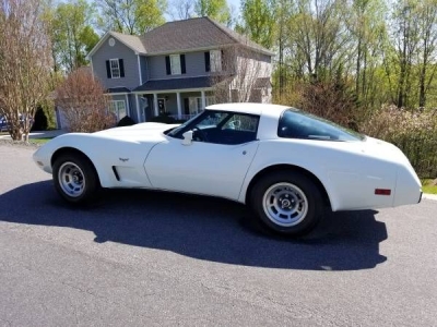 1979 Chevrolet Corvette for sale in Cadillac, Michigan at $23,495