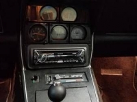 1979 Chevrolet Corvette for sale in Cadillac, Michigan (ID-48593)