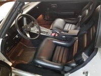 1979 Chevrolet Corvette for sale in Cadillac, Michigan (ID-48593)