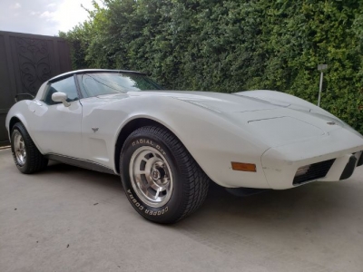 1979 Chevrolet Corvette for sale in Cadillac, Michigan at $19,995