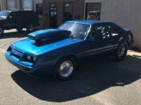 1979 Ford Mustang for sale in Cadillac, Michigan (ID-48210)