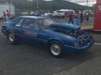 1979 Ford Mustang for sale in Cadillac, Michigan (ID-48210)