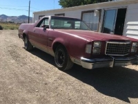 1979 Ford Ranchero for sale in Cadillac, Michigan (ID-48689)