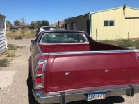 1979 Ford Ranchero for sale in Cadillac, Michigan (ID-48689)
