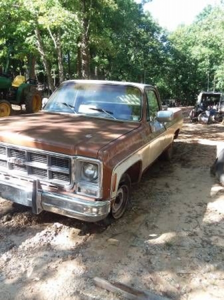 1979 GMC 1500 for sale in Cadillac, Michigan (ID-48560)