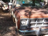 1979 GMC 1500 for sale in Cadillac, Michigan (ID-48560)