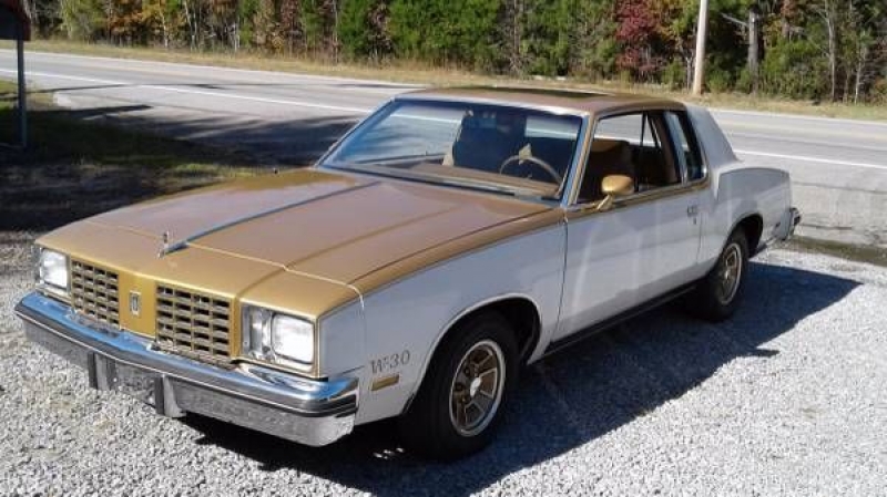 1979 Oldsmobile Cutlass for sale in Cadillac, Michigan (ID-48189)