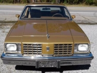 1979 Oldsmobile Cutlass for sale in Cadillac, Michigan (ID-48189)