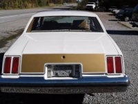 1979 Oldsmobile Cutlass for sale in Cadillac, Michigan (ID-48189)
