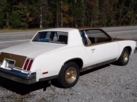 1979 Oldsmobile Cutlass for sale in Cadillac, Michigan (ID-48189)