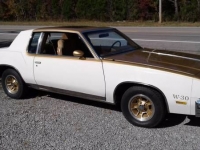1979 Oldsmobile Cutlass for sale in Cadillac, Michigan (ID-48189)