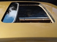 1979 Oldsmobile Cutlass for sale in Cadillac, Michigan (ID-48189)