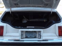 1979 Oldsmobile Cutlass for sale in Cadillac, Michigan (ID-48189)