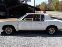 1979 Oldsmobile Cutlass for sale in Cadillac, Michigan (ID-48189)