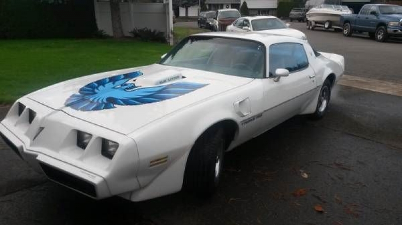 1979 Pontiac Trans Am for sale in Cadillac, Michigan (ID-1790)